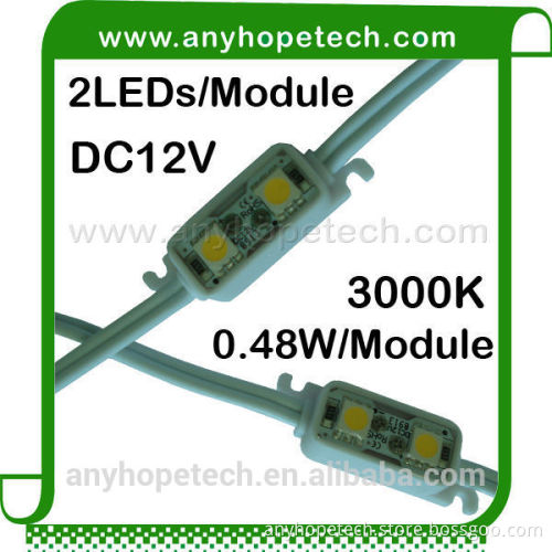 Stylish designs DC12V 2LEDs IP67 outdoor 5050 smd led module
